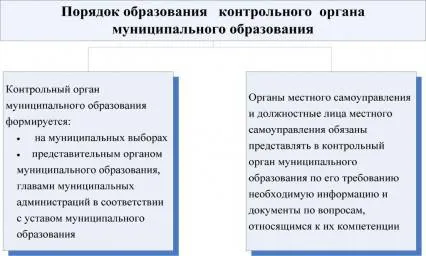 Контрольная работа по теме Компетенция налоговых органов Российской Федерации